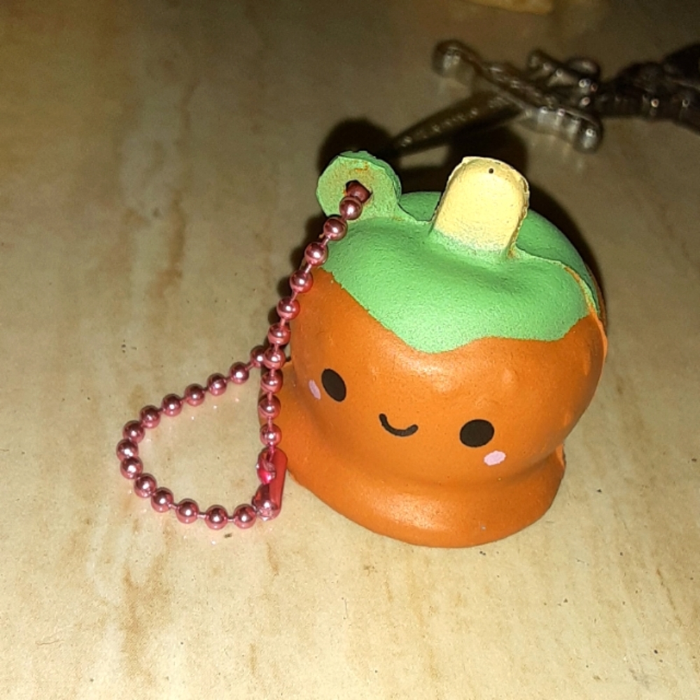 SMOOSHY MUSHY FUNNY CAT CARMEL APPLE KEYCHAIN CHARM NRMINT